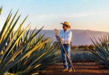 Activa Jalisco estrategia de impulso económico con bolsa de 4 mil 662 millones de pesos