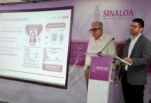 Lanzan en Sinaloa licencia de conducir permanente