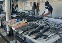 Evita engaños; que no te vendan gato por libre en cuaresma / Por Alicia Valverde