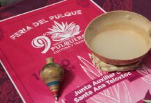 Tehuacán tendrá Feria del Pulque en Santa Ana Teloxtoc