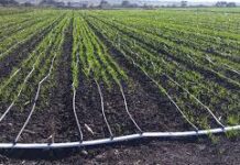 Llaman a productores a regularizar concesiones de agua / Por Alicia Valverde