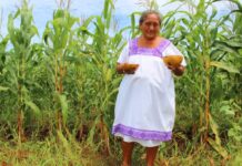 En Tabasco, apoyan a mujeres emprendedoras