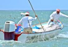 Reduce Conapesca en 77% los trámites a productores para mantener su actividad pesquera y acuícola / Por Alicia Valverde